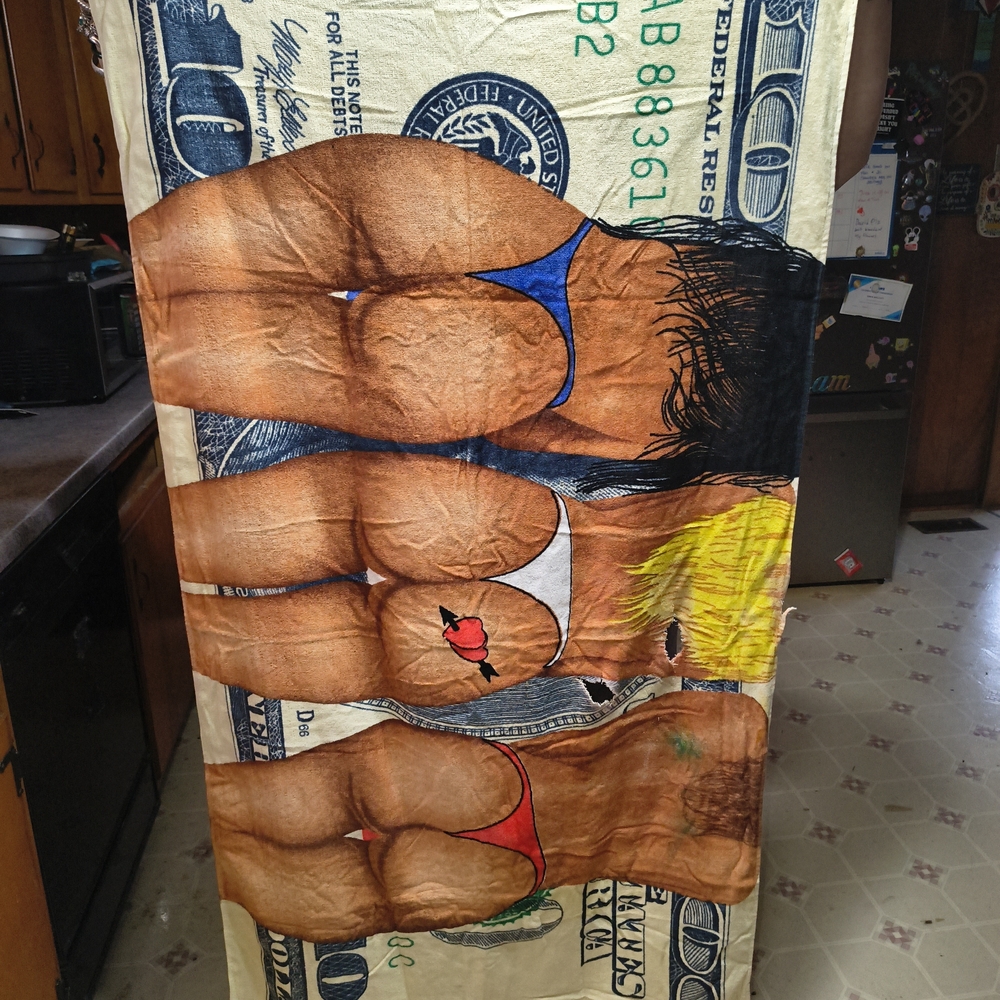 Novelty Dollar Bill Beach Towel